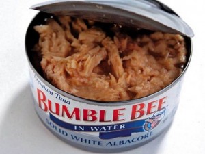 Bumble Bee- bollito vivo nel tonno