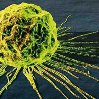 Agenti mutageni e cancerogeni