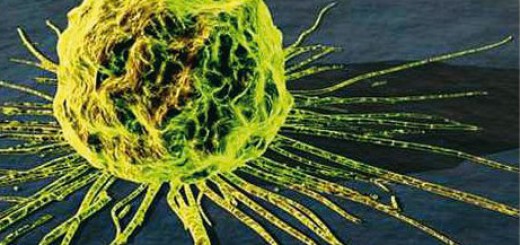 Agenti mutageni e cancerogeni