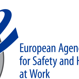 EU-OSHA online la relazione annuale 2014
