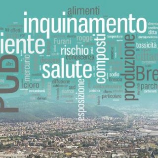 Contaminazione da Pcb