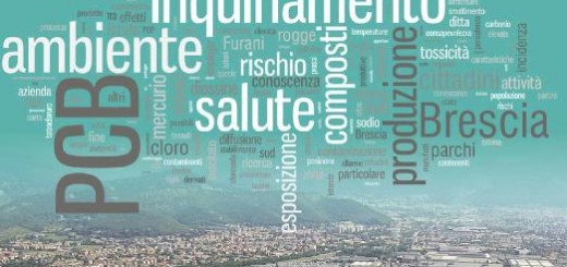 Contaminazione da Pcb