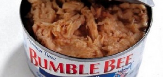 Bumble Bee- bollito vivo nel tonno