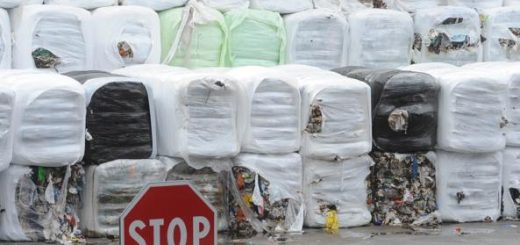 Morto operaio schiacciato da una pala meccanica